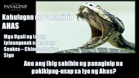 Kahulugan ng panaginip na Ahas (Snake) .
